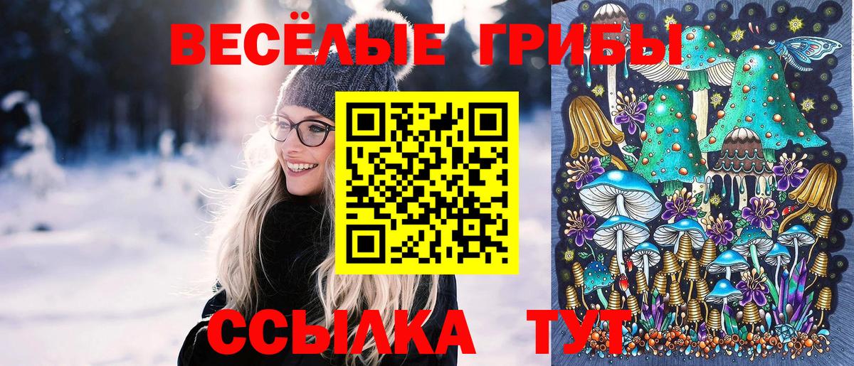 Галлюциногенные грибы мицелий  Галлюциногенные грибы ЛСД  Ленинск-Кузнецкий  Вход с VPN 